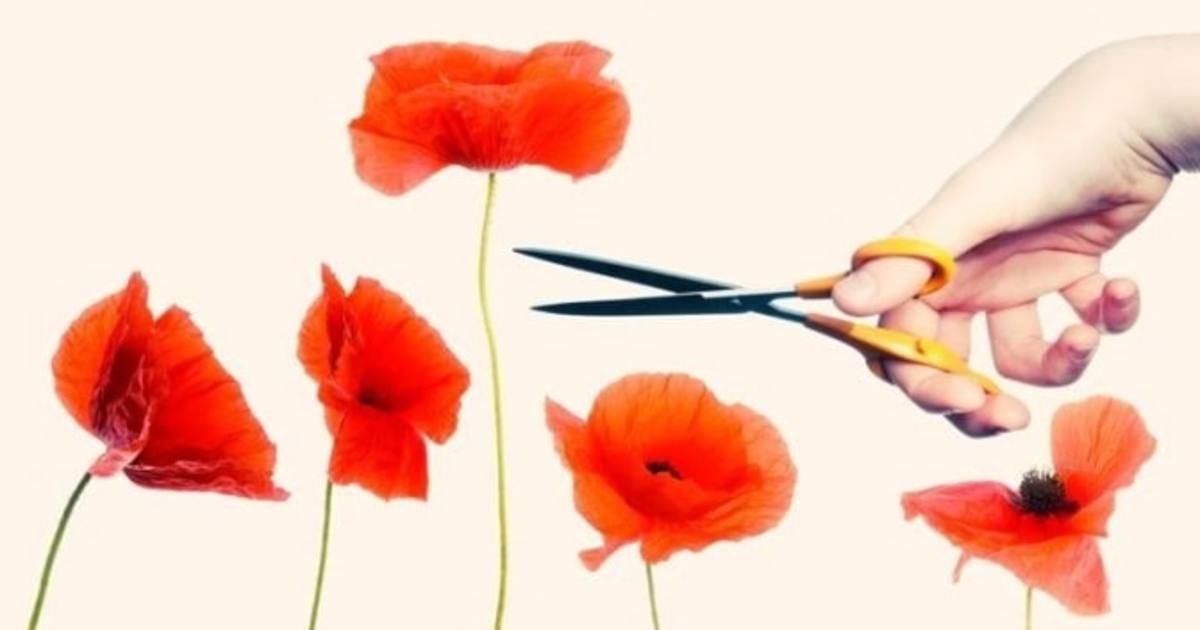 Nothing is as approved as&nbsp;mediocrity